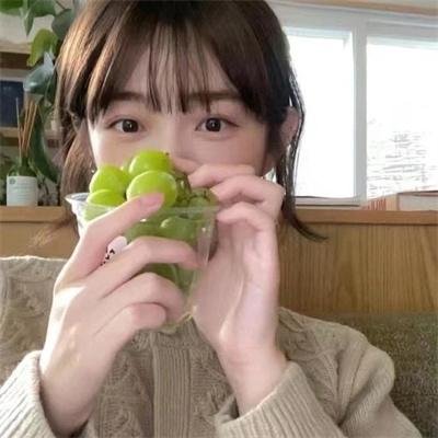加菲猫的幸福生活第五季